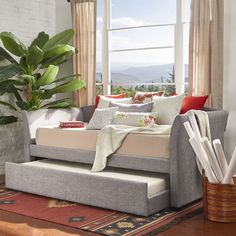 a living room filled with furniture and a large window covered in curtains next to a potted plant