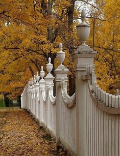 a white fence surrounded by trees with yellow leaves