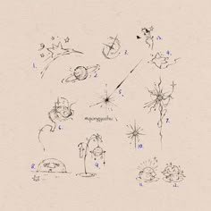 the drawing shows how to draw dandelions and other things in different stages of development