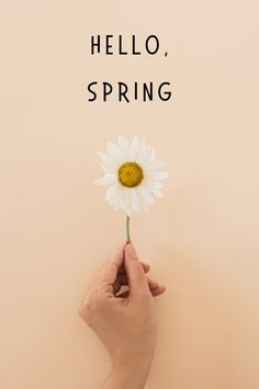 a person holding a flower with the words hello, spring written on it's side