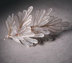 two white flowers sitting on top of a table