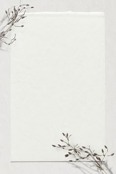 an empty piece of paper with dried plants on it and a blank sheet of paper in the middle