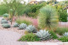 a garden with lots of different plants and flowers on it's side walk way