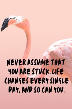 a pink flamingo with the words never assume that you are stuck life changes every single day, and so can you