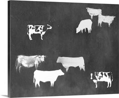 black and white photograph of cows in the dark