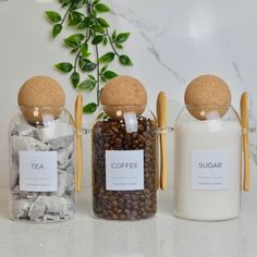 three jars filled with different types of coffee beans