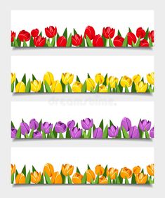 colorful tulips and other flowers are arranged in rows on the white background royalty illustration