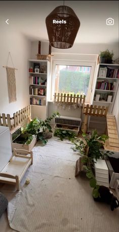 a living room filled with furniture and lots of plants on top of carpeted flooring