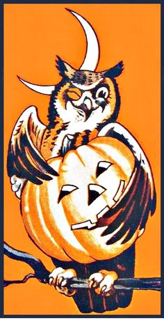 an owl sitting on top of a pumpkin