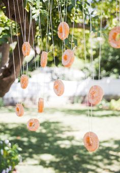 some donuts hanging from strings in the grass