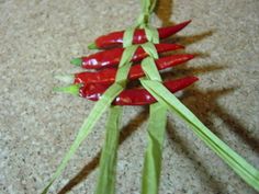 red peppers are arranged in the shape of a christmas tree on a carpeted floor