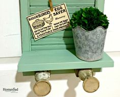 a potted plant sitting on top of a green shelf