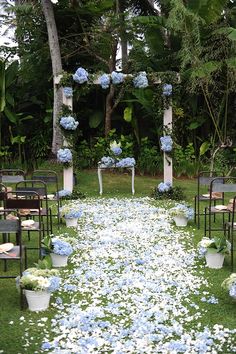 an outdoor ceremony with blue and white flowers on the ground, chairs are lined up in rows