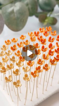 a bunch of small orange flowers sitting on top of a white table next to green plants