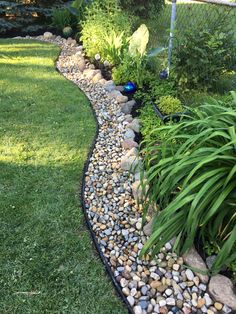 a garden filled with lots of rocks and plants