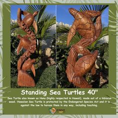 two wooden sea turtles on display in front of palm trees and blue sky with text stating standing sea turtles 40