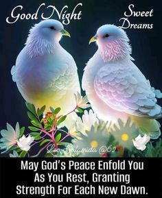 two white doves sitting on top of flowers with the words good night sweet dreams