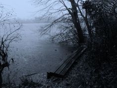 a bench sitting on the side of a river next to trees and bushes covered in snow