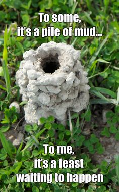 a piece of cement sitting in the grass with words above it that read to some, it's a pile of mud