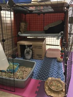 a hamster is in its cage with food and other items on the floor next to it