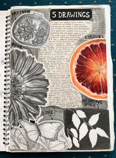 an open notebook with drawings on it and some fruit in the pages next to it