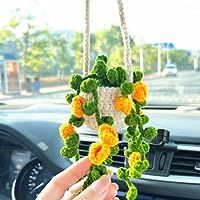 a person holding up a crocheted plant hanging from a car dashboard