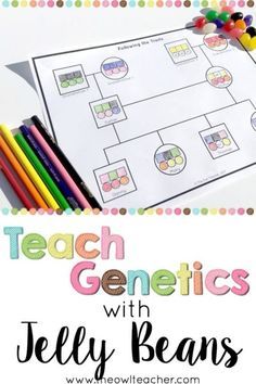 teach genetics with jelly beans for kids to learn how to use them in their homeschool