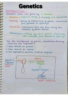 Chromosome and genetics biology Hand written Notes by best chemistry teacher Sir Asadullah Mastoi Inheritance Notes Biology, Genetics And Inheritance Notes, Biology Notes Genetics, Life Sciences Study Notes Grade 12, Chromosomes Notes, Biology Notes Class 10, Genetics Notes Biology, Heredity Notes