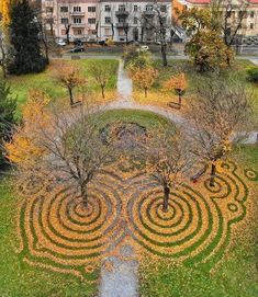 an aerial view of a maze in the grass with trees and buildings in the background