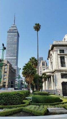 an old building with palm trees in the foreground and other buildings in the background