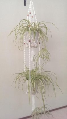 three hanging planters with plants in them on the wall next to a white wall