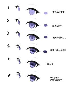 an image of different types of eyes