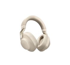 the beats on ear headphones are white