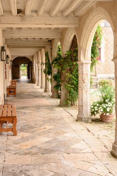 an empty walkway with benches and potted plants