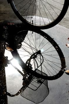 two bicycles are reflected in the puddle of water on the sidewalk, with one bicycle leaning against it's tire