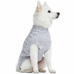 a small white dog wearing a gray sweater