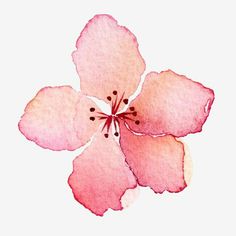 a watercolor painting of a pink flower