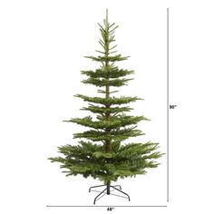 a tall pine tree on a stand with measurements for the top and bottom part of it