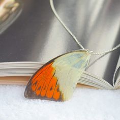 an orange and white butterfly sitting on top of a book next to a chain necklace