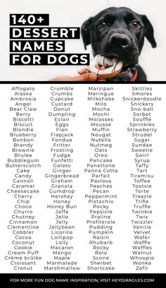 a black dog is shown with the words for dogs