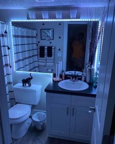 a bathroom with a cat on the counter and lights in the bathtub behind it