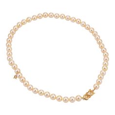 This is part of Chairish’s Fine Jewelry assortment.  Elegant Mikimoto cultured Akoya pearl necklace finished with a 18k yellow gold clasp (circa 2003).   8mm cultured Akoya pearls are individually knotted. The pearls are lustrous and show a glossy golden champagne hue.   The necklace was created in 2003 as a special anniversary edition to celebrate 110 years of Mikimoto (1893-2003). The special edition strand is a testament to Mikimoto craftsmanship. The pearls were produced with a piece of a go Classic Gold Pearl Necklace With 8mm Beads, Luxury Akoya Pearl Necklace, Elegant Yellow Gold Akoya Pearl Necklaces, Luxury Akoya Pearl Yellow Gold Jewelry, Luxury Yellow Gold Akoya Pearl Jewelry, Luxury Yellow Gold Akoya Pearl Necklace, Akoya Pearl Necklace, Mikimoto Pearls, Golden South Sea Pearls