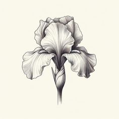 a black and white drawing of a flower