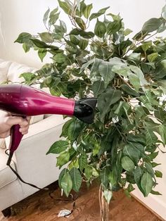 a woman blow drying her hair with an electric dryer next to a potted plant