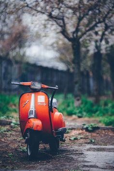 an orange scooter parked on the side of a road next to a tree