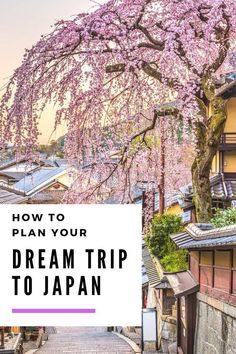 a cherry blossom tree with the words how to plan your dream trip to japan on it