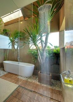 a bathroom with a tub, shower and plants in it