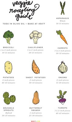 an illustrated guide to vegetables for beginners