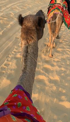 two people riding on the backs of camels in the sand, with one person walking behind them