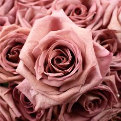 pink roses are arranged together in the center of this bouquet, with very large petals